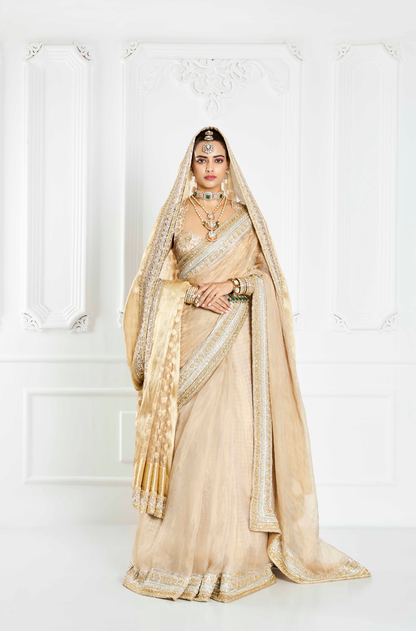 Beige Statement Border Saree Set