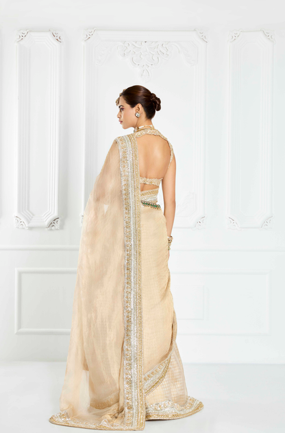 Beige Statement Border Saree Set