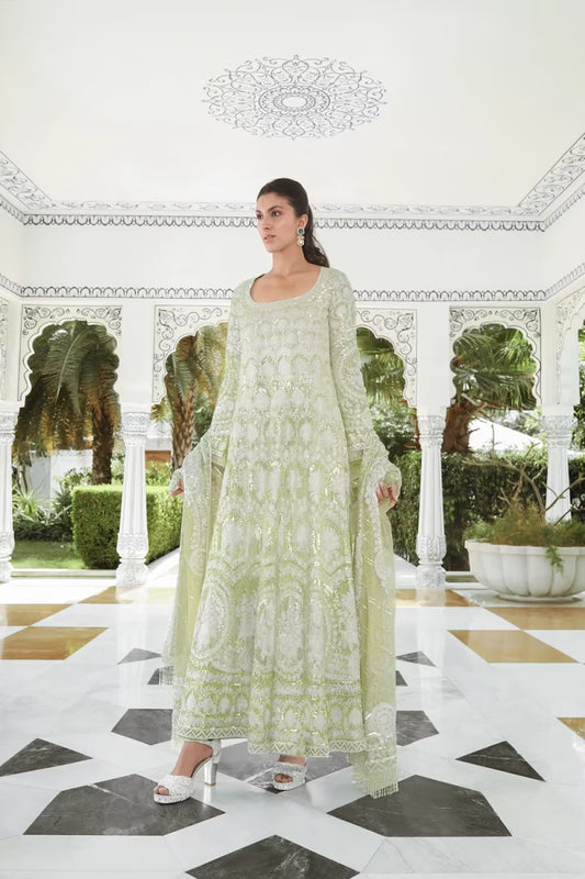Mint Green Tulle Kashmiri Kalidar Set