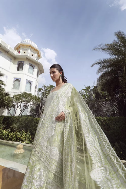 Mint Green Tulle Kashmiri Kalidar Set