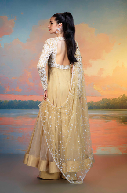 Gold Embroidered Tulle Kalidar Kurta Set