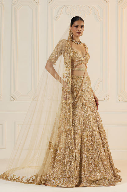 Beige Tulle With Gold Embroidery Lehenga Set