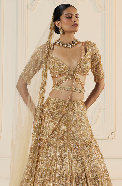 Beige Tulle With Gold Embroidery Lehenga Set