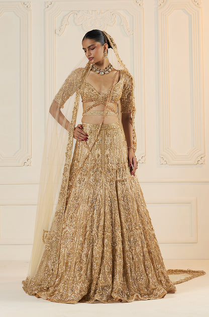 Beige Tulle With Gold Embroidery Lehenga Set