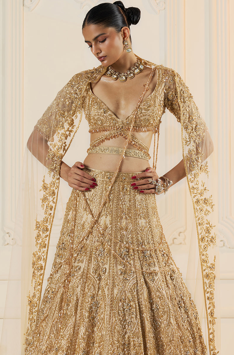 Beige Tulle With Gold Embroidery Lehenga Set