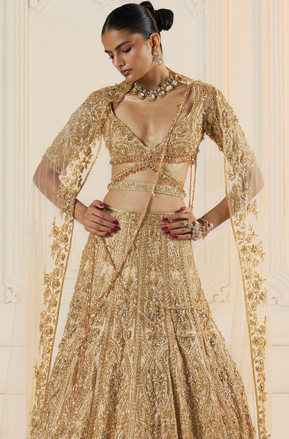 Beige Tulle With Gold Embroidery Lehenga Set