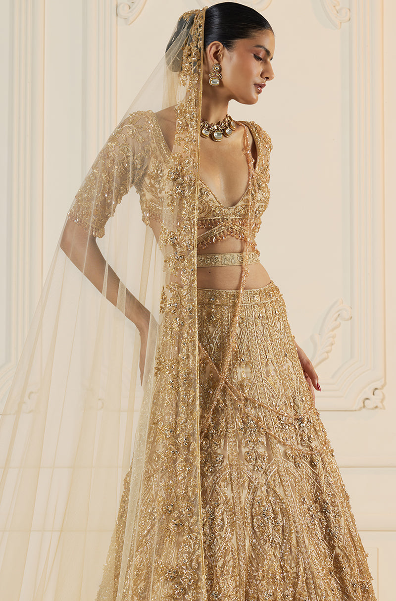 Beige Tulle With Gold Embroidery Lehenga Set