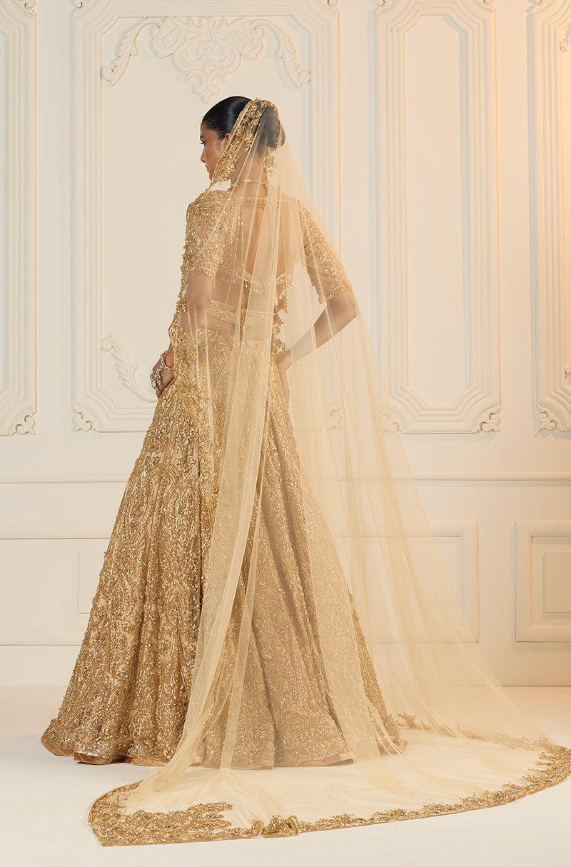 Beige Tulle With Gold Embroidery Lehenga Set