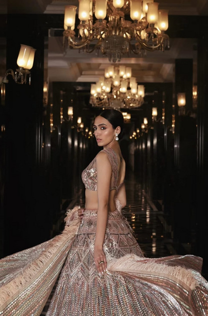 Blush Pink Multicoloured Sequins Lehenga Set