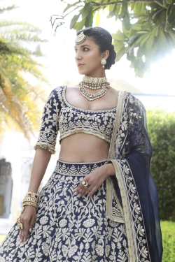 Navy Blue Gold Zardozi Embroidered Lehenga Set