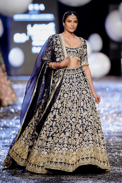 Navy Blue Gold Zardozi Embroidered Lehenga Set