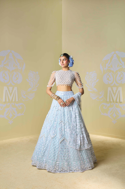Powder Blue and Ivory Kashmiri Embroidered Lehenga Set