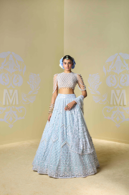 Powder Blue and Ivory Kashmiri Embroidered Lehenga Set