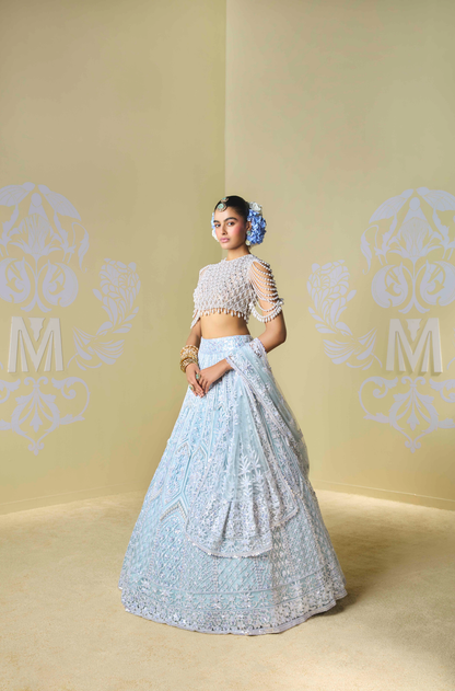 Powder Blue and Ivory Kashmiri Embroidered Lehenga Set