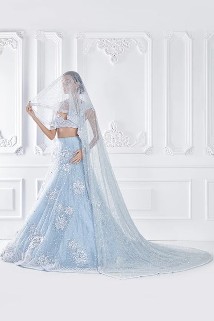 Powder Blue Floral Stone Encrusted Lehenga Set