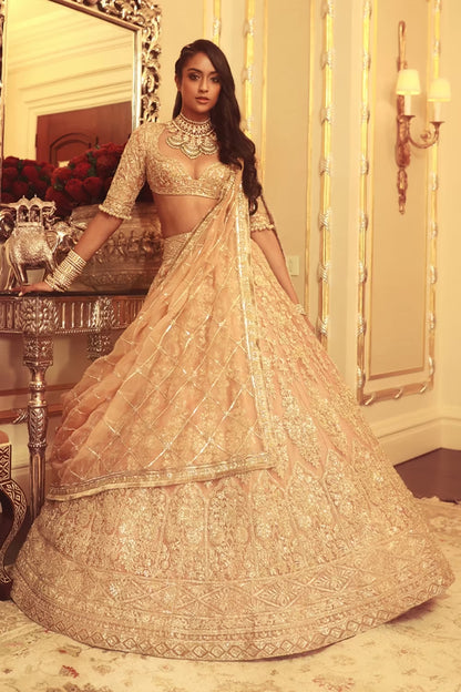 Aureate Gold Embroidered Lehenga Set
