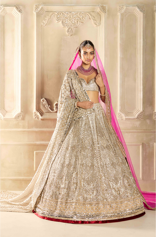 Silver Tissue Embroidered Lehenga Set