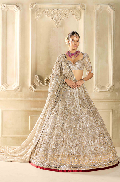 Silver Tissue Embroidered Lehenga Set