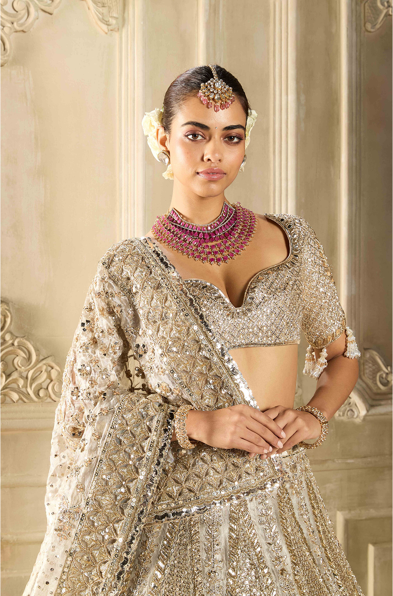 Silver Tissue Embroidered Lehenga Set