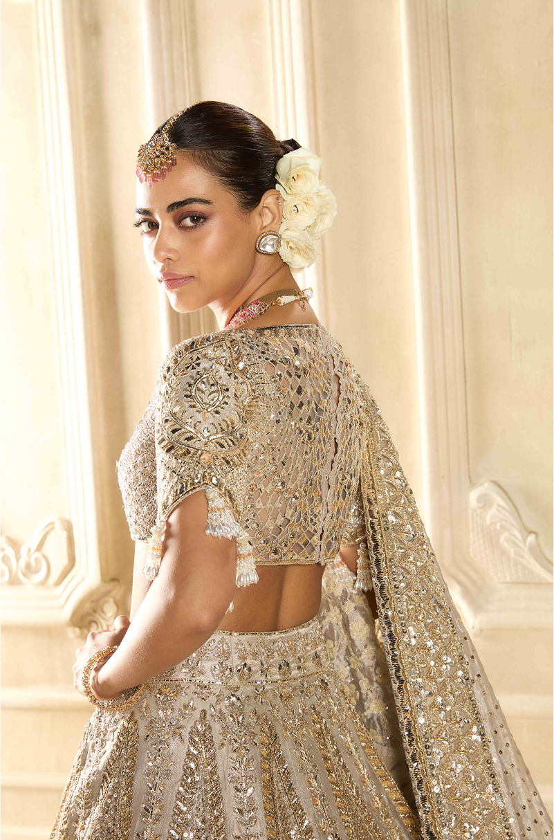 Silver Tissue Embroidered Lehenga Set