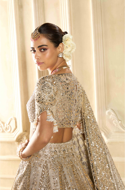 Silver Tissue Embroidered Lehenga Set