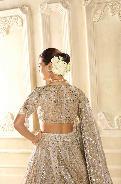 Silver Tissue Embroidered Lehenga Set