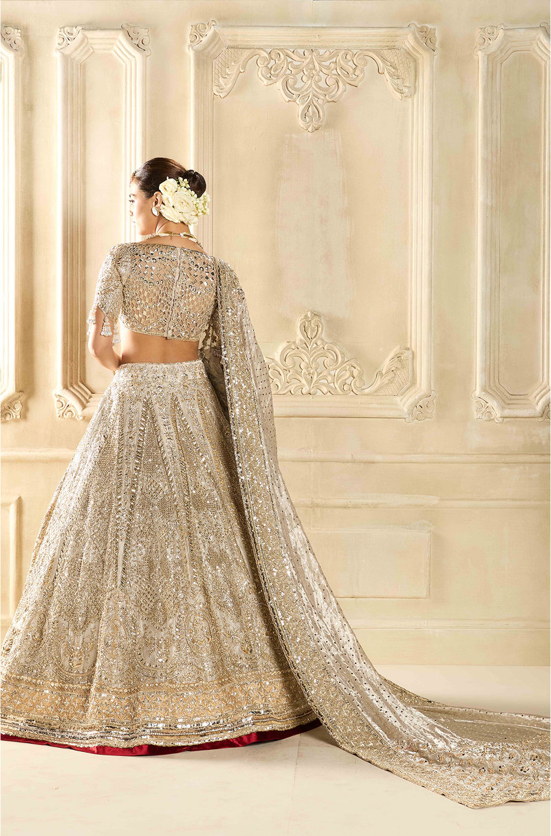 Silver Tissue Embroidered Lehenga Set