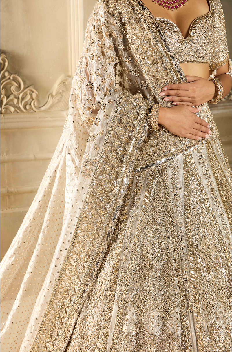 Silver Tissue Embroidered Lehenga Set