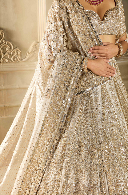 Silver Tissue Embroidered Lehenga Set