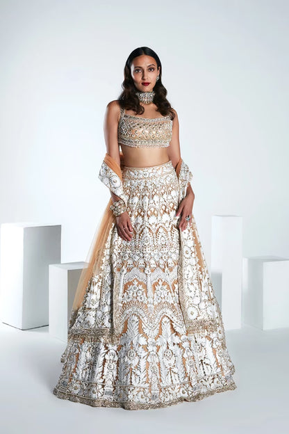 Beige Kashmiri Embroidered Lehenga Set