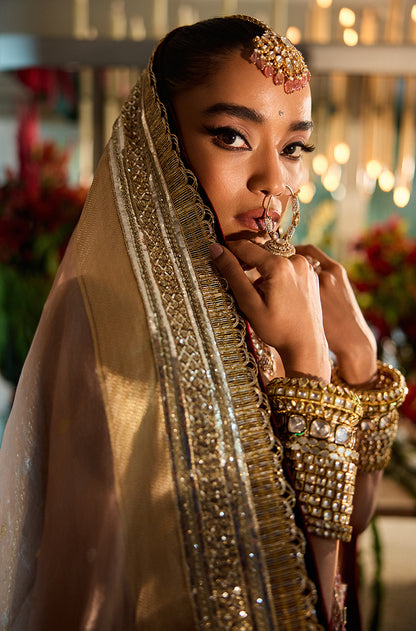 Maroon Velvet with Embroidered Borders Lehenga Set