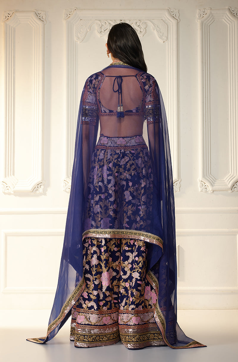 Navy Blue With Multicolor Kashmiri Embroidered Sharara Set
