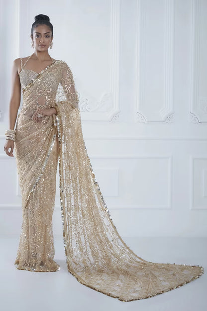 Nude Net Jaal Embroidered Saree Set