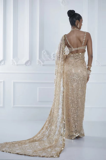 Nude Net Jaal Embroidered Saree Set