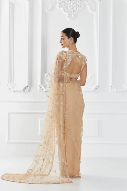 Beige 3D Floral Embellished Saree Set