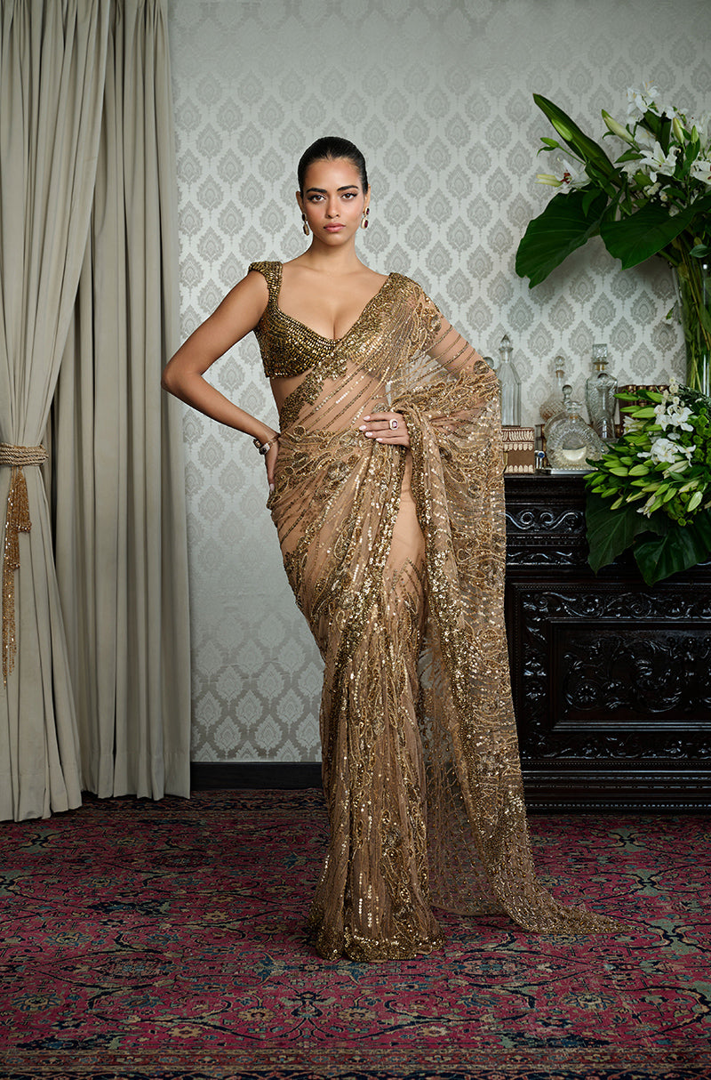 Nude Tulle with Gold Swirls Embroidered Saree Set