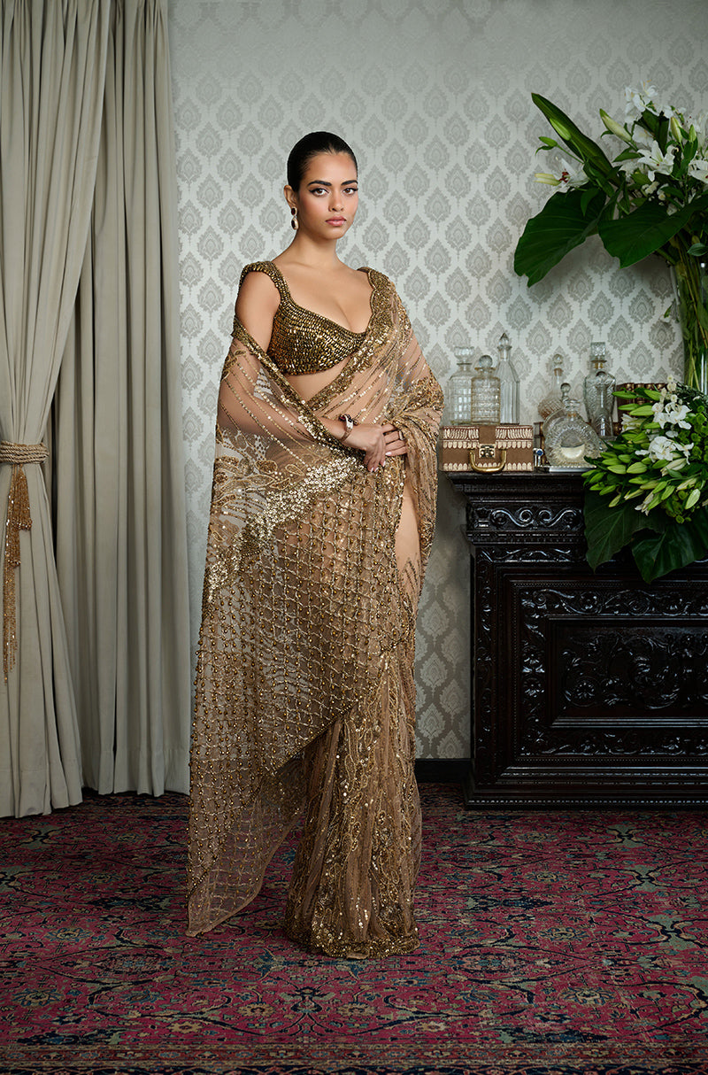 Nude Tulle with Gold Swirls Embroidered Saree Set